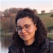 Lerne Italienisch mit maßgeschneiderten Unterrichtseinheiten!